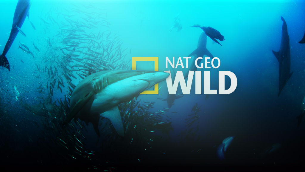 Nat Geo Wild HD