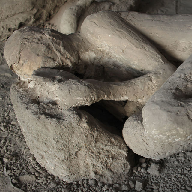Pompeji: Kuolleiden salaisuudet